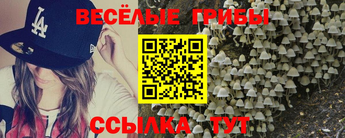 Новоуральск  Псилоцибиновые грибы Cubensis  Псилоцибиновые грибы Magic Shrooms  купить   Вход с VPN 